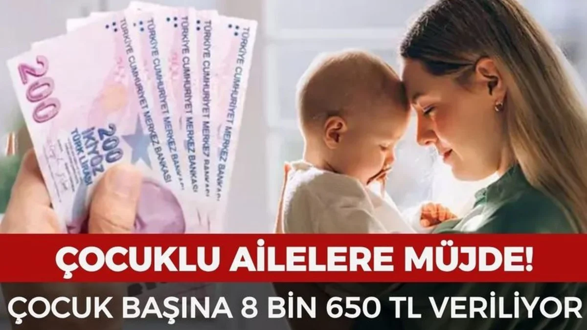 Çocuklu Ailelere Yeni Destek: Çocuk Başına 8.650 TL Ödeme Başlıyor - Ekonomi Haberleri